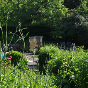 Jardin d'été