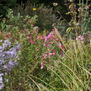 Jardin - le vallon - automne