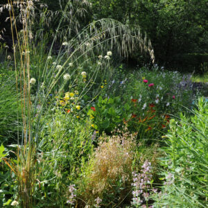 Jardins de l'Albarède