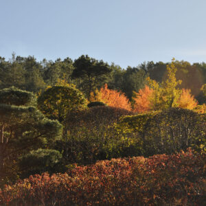 Panorama - automne - 2010