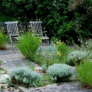 7 et 8 juin 2025 : les Rendez-vous au Jardin du Ministère de la Culture