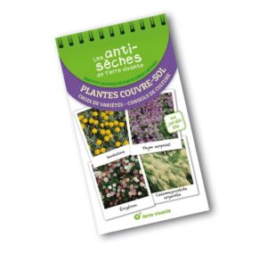 Les antisèches de Terre vivante : Plantes couvre-sol : choix de variétés ; conseils de culture