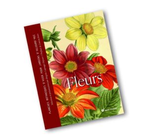 Fleurs : Planches botaniques d'hier pour jardins d'aujourd'hui
