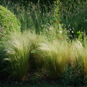 Fermeture pour canicule